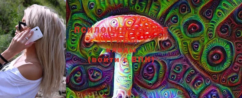 Псилоцибиновые грибы Cubensis  Донецк 